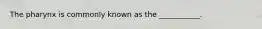 The pharynx is commonly known as the ___________.
