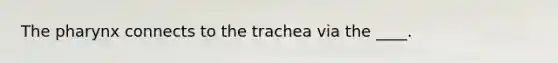 The pharynx connects to the trachea via the ____.