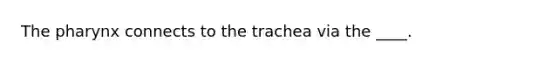 <a href='https://www.questionai.com/knowledge/ktW97n6hGJ-the-pharynx' class='anchor-knowledge'>the pharynx</a> connects to the trachea via the ____.​