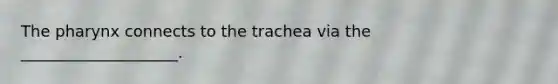<a href='https://www.questionai.com/knowledge/ktW97n6hGJ-the-pharynx' class='anchor-knowledge'>the pharynx</a> connects to the trachea via the ____________________.