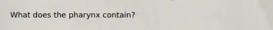 What does <a href='https://www.questionai.com/knowledge/ktW97n6hGJ-the-pharynx' class='anchor-knowledge'>the pharynx</a> contain?