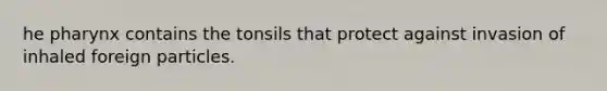 he pharynx contains the tonsils that protect against invasion of inhaled foreign particles.