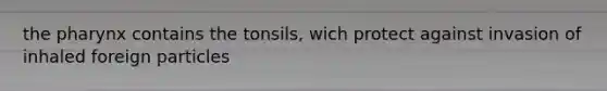 <a href='https://www.questionai.com/knowledge/ktW97n6hGJ-the-pharynx' class='anchor-knowledge'>the pharynx</a> contains the tonsils, wich protect against invasion of inhaled foreign particles