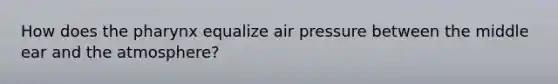 How does the pharynx equalize air pressure between the middle ear and the atmosphere?