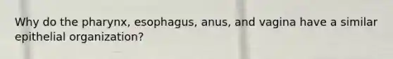 Why do <a href='https://www.questionai.com/knowledge/ktW97n6hGJ-the-pharynx' class='anchor-knowledge'>the pharynx</a>, esophagus, anus, and vagina have a similar epithelial organization?