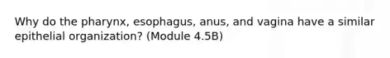 Why do the pharynx, esophagus, anus, and vagina have a similar epithelial organization? (Module 4.5B)