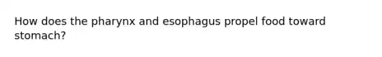 How does the pharynx and esophagus propel food toward stomach?