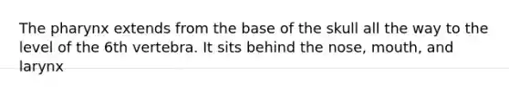 The pharynx extends from the base of the skull all the way to the level of the 6th vertebra. It sits behind the nose, mouth, and larynx
