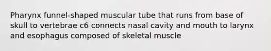 Pharynx funnel-shaped muscular tube that runs from base of skull to vertebrae c6 connects nasal cavity and mouth to larynx and esophagus composed of skeletal muscle