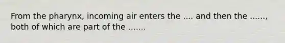 From the pharynx, incoming air enters the .... and then the ......, both of which are part of the .......