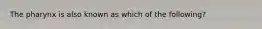 The pharynx is also known as which of the following?