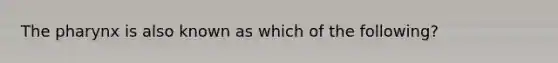 The pharynx is also known as which of the following?