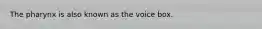 The pharynx is also known as the voice box.