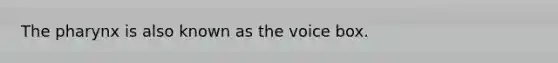 The pharynx is also known as the voice box.