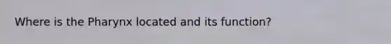 Where is the Pharynx located and its function?