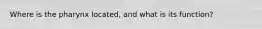 Where is the pharynx located, and what is its function?