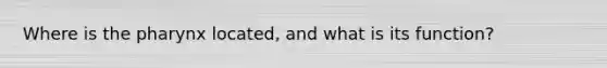 Where is the pharynx located, and what is its function?