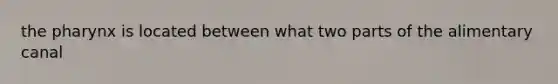 the pharynx is located between what two parts of the alimentary canal