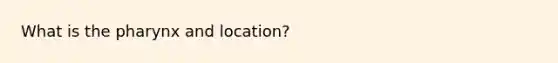 What is the pharynx and location?