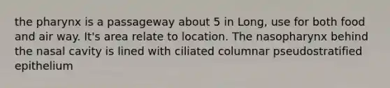 <a href='https://www.questionai.com/knowledge/ktW97n6hGJ-the-pharynx' class='anchor-knowledge'>the pharynx</a> is a passageway about 5 in Long, use for both food and air way. It's area relate to location. The nasopharynx behind the nasal cavity is lined with ciliated columnar pseudostratified epithelium