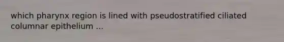 which pharynx region is lined with pseudostratified ciliated columnar epithelium ...