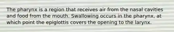 The pharynx is a region that receives air from the nasal cavities and food from the mouth. ​Swallowing occurs in the pharynx, at which point the epiglottis covers the opening to the larynx.