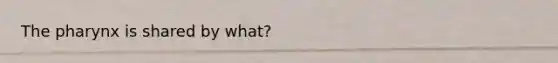 <a href='https://www.questionai.com/knowledge/ktW97n6hGJ-the-pharynx' class='anchor-knowledge'>the pharynx</a> is shared by what?