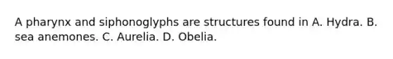 A pharynx and siphonoglyphs are structures found in A. Hydra. B. sea anemones. C. Aurelia. D. Obelia.