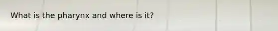 What is the pharynx and where is it?
