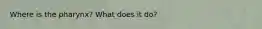 Where is the pharynx? What does it do?