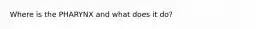Where is the PHARYNX and what does it do?