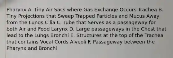 Pharynx A. Tiny Air Sacs where Gas Exchange Occurs Trachea B. Tiny Projections that Sweep Trapped Particles and Mucus Away from the Lungs Cilia C. Tube that Serves as a passageway for both Air and Food Larynx D. Large passageways in the Chest that lead to the Lungs Bronchi E. Structures at the top of the Trachea that contains Vocal Cords Alveoli F. Passageway between the Pharynx and Bronchi