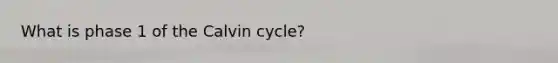 What is phase 1 of the Calvin cycle?