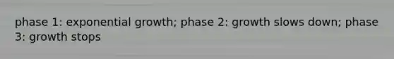 phase 1: exponential growth; phase 2: growth slows down; phase 3: growth stops