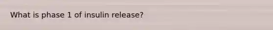 What is phase 1 of insulin release?