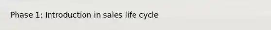 Phase 1: Introduction in sales life cycle