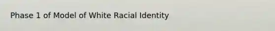 Phase 1 of Model of White Racial Identity