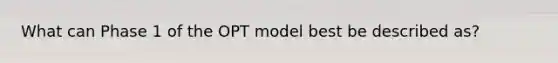 What can Phase 1 of the OPT model best be described as?