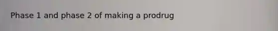 Phase 1 and phase 2 of making a prodrug