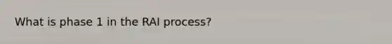 What is phase 1 in the RAI process?