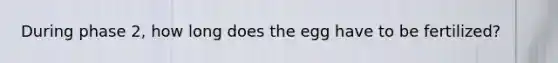 During phase 2, how long does the egg have to be fertilized?