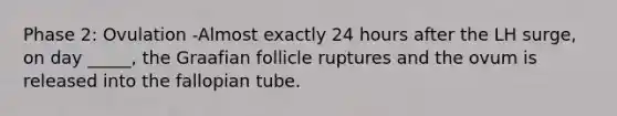 Phase 2: Ovulation -Almost exactly 24 hours after the LH surge, on day _____, the Graafian follicle ruptures and the ovum is released into the fallopian tube.