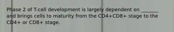 Phase 2 of T-cell development is largely dependent on _______ and brings cells to maturity from the CD4+CD8+ stage to the CD4+ or CD8+ stage.