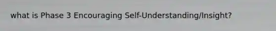 what is Phase 3 Encouraging Self-Understanding/Insight?