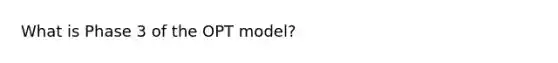 What is Phase 3 of the OPT model?