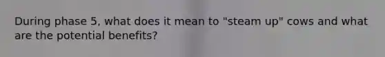 During phase 5, what does it mean to "steam up" cows and what are the potential benefits?