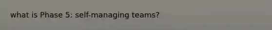 what is Phase 5: self-managing teams?