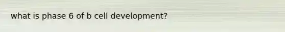 what is phase 6 of b cell development?