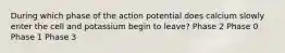 During which phase of the action potential does calcium slowly enter the cell and potassium begin to leave? Phase 2 Phase 0 Phase 1 Phase 3