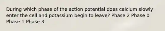 During which phase of the action potential does calcium slowly enter the cell and potassium begin to leave? Phase 2 Phase 0 Phase 1 Phase 3